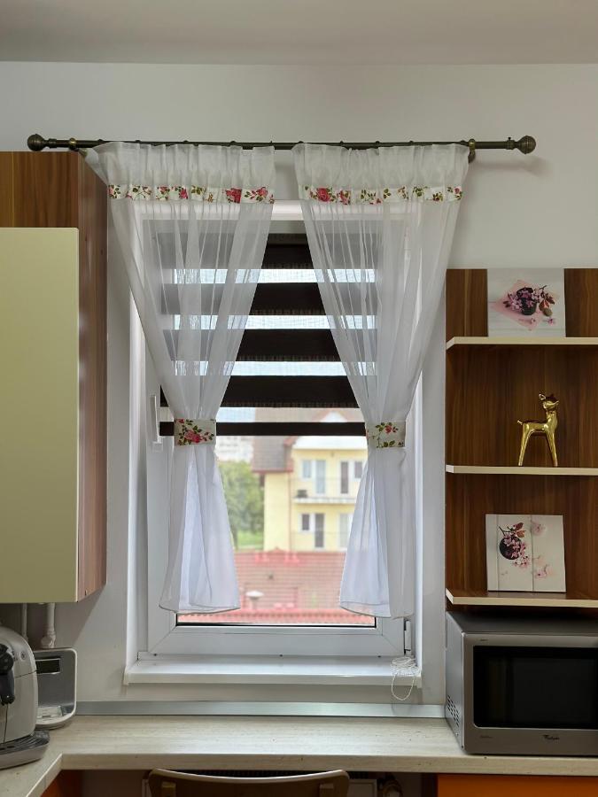 Apartament Iris Apartment Sibiu Exterior photo